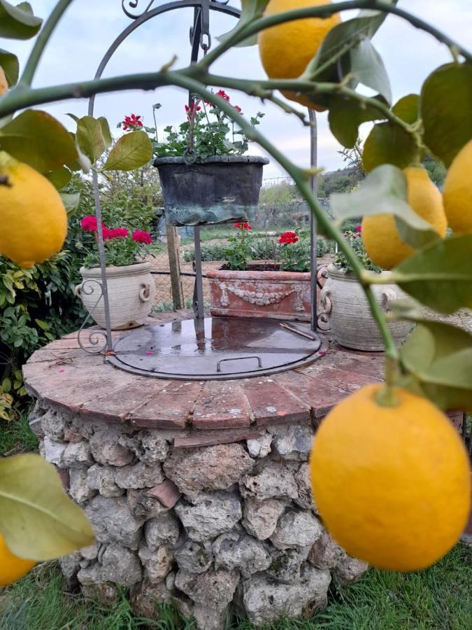 Casa Patti Alle Porte Di *
