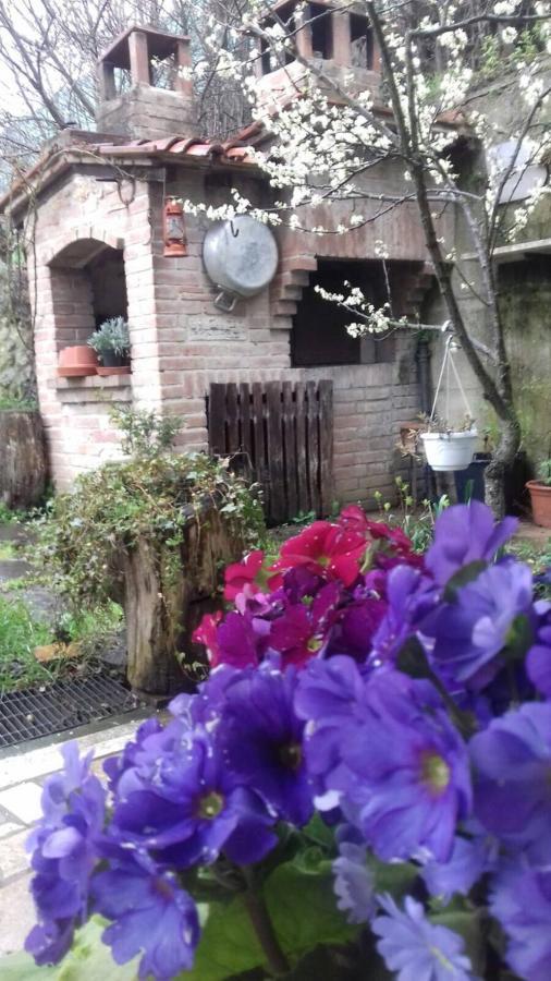 Apartment Casa Patti Alle Porte Di *