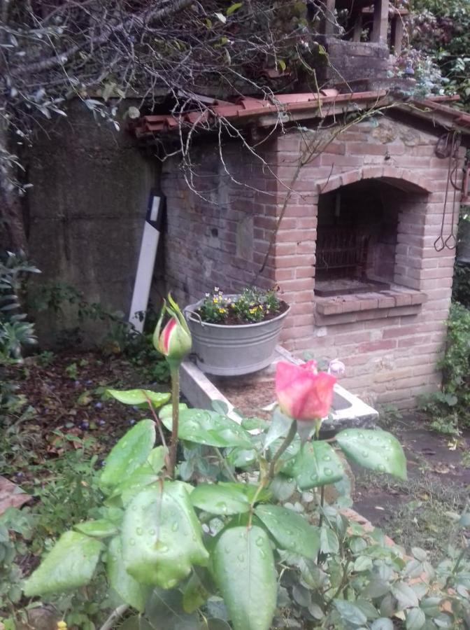 Casa Patti Alle Porte Di * Siena