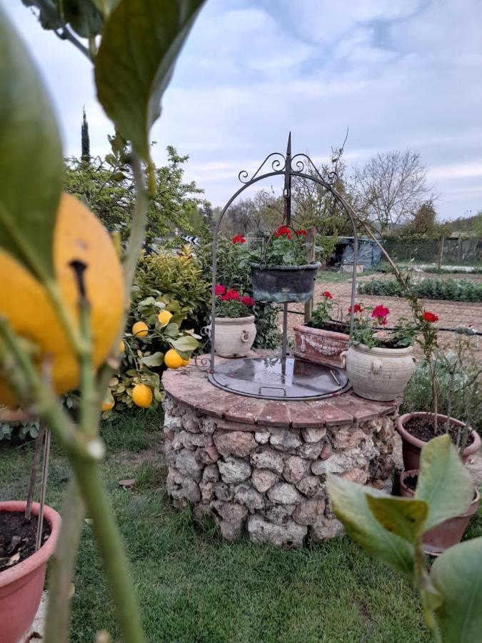 Casa Patti Alle Porte Di Siena